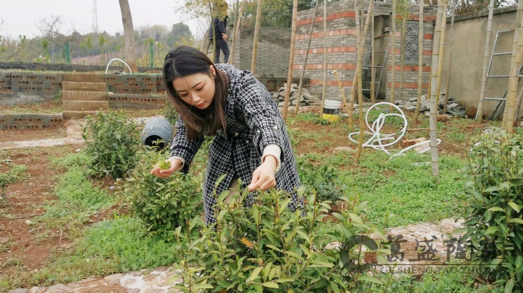 1616389573165177.jpg 微信图片_20210322125800.jpg