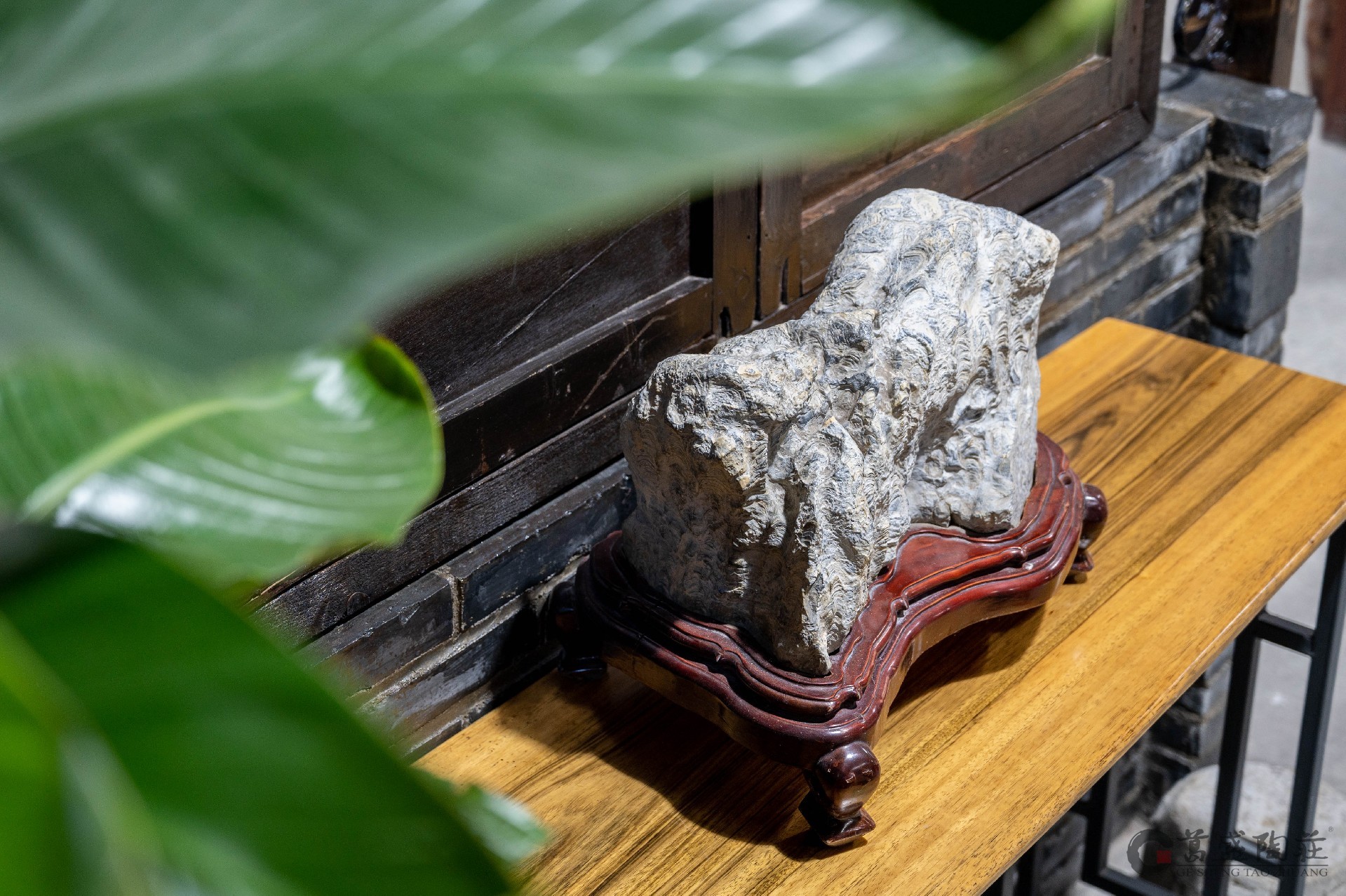 1672015729918554.jpg DSC_2661.jpg