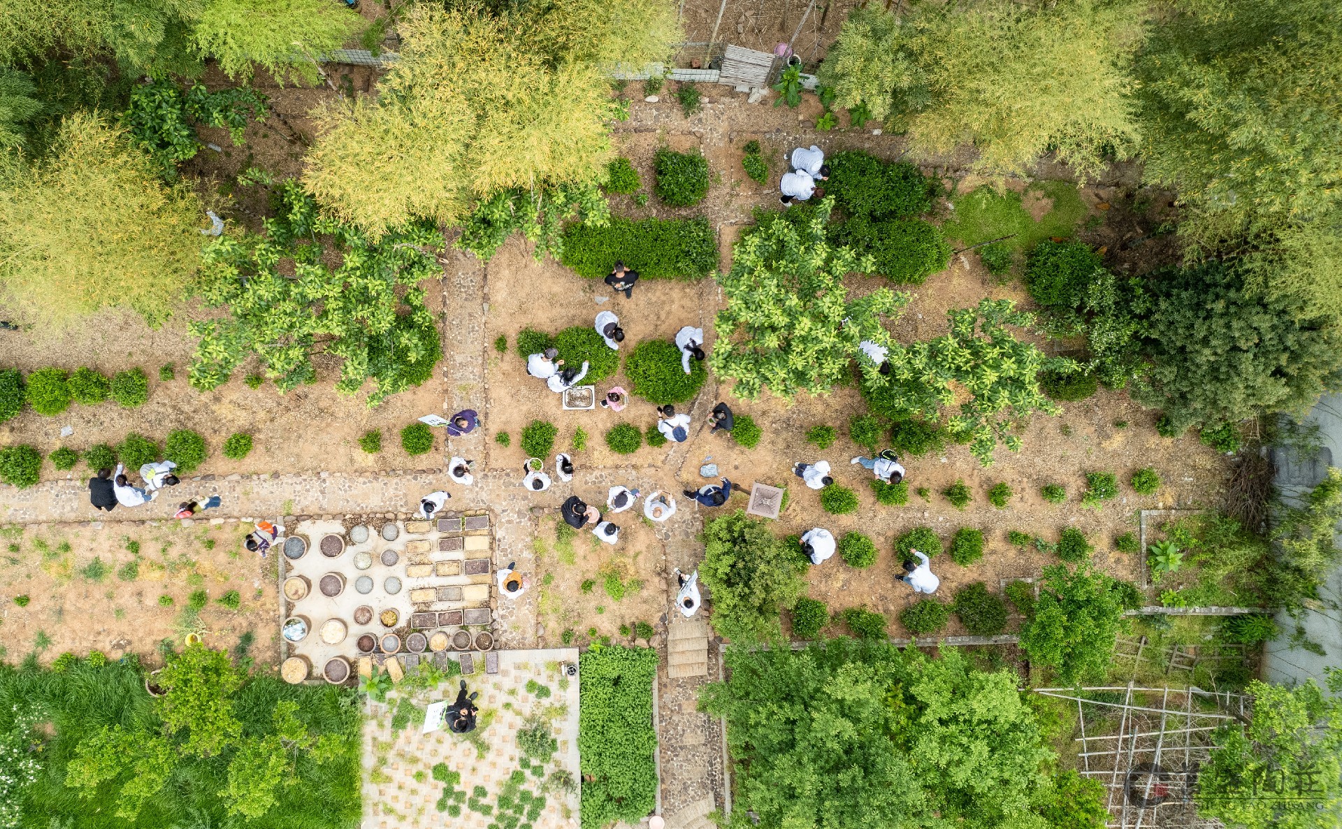 DJI_0523.jpg